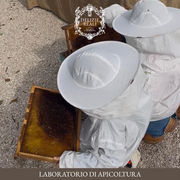 Laboratorio di Apicoltura