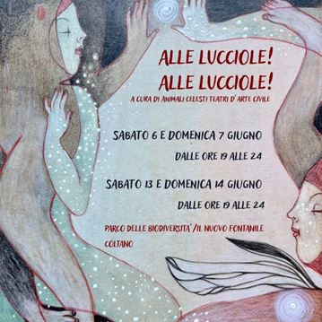 Aspettando l'aurora