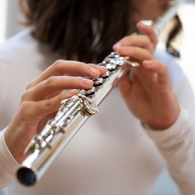 Il Carnevale degli animali