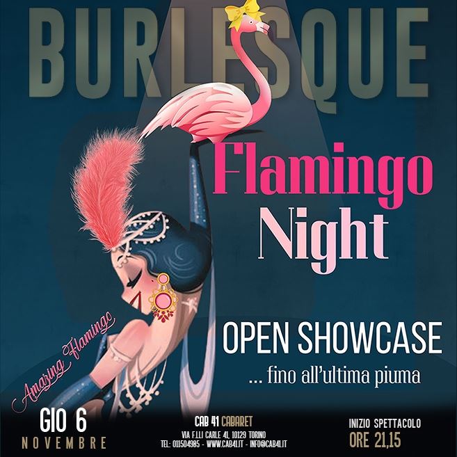 Flamingo Night