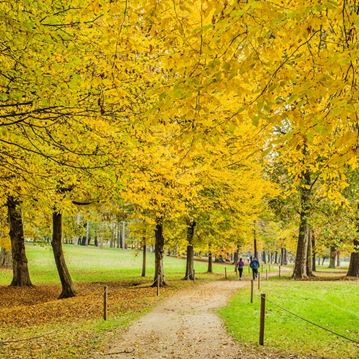Foliage al Parco Cavour