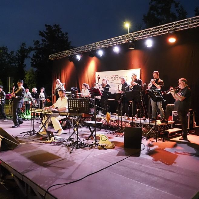 Concerto rock blues per Associazione Ludica