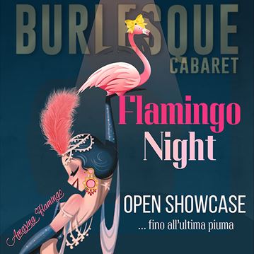 Flamingo Night
