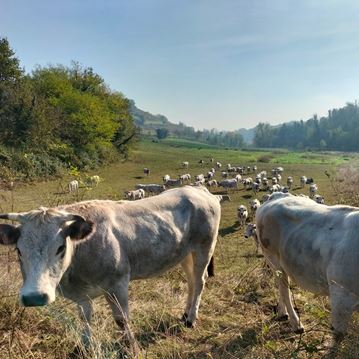 La tragedia della libertà