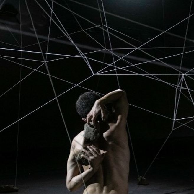 Plumarius