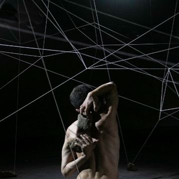 Plumarius