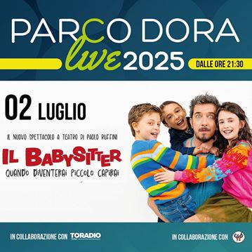 Il babysitter