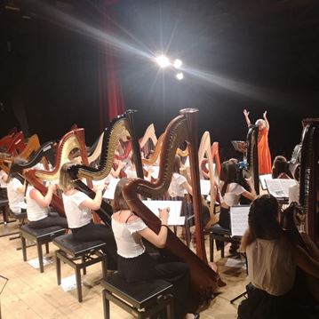 Ottanta arpe, una voce