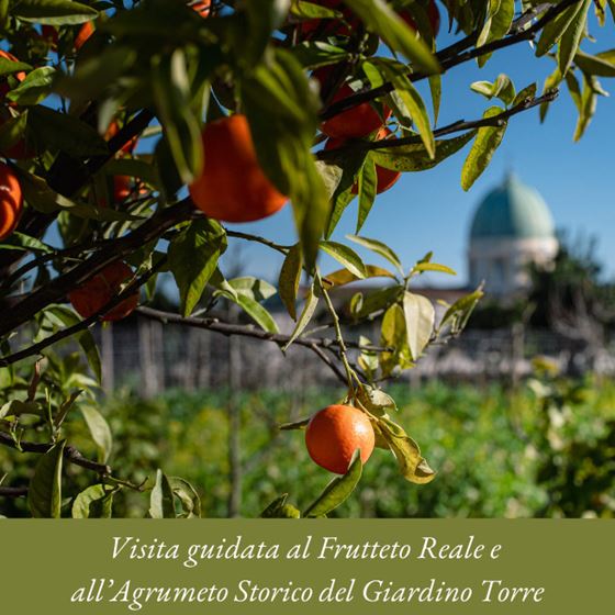 Visita guidata al Frutteto Reale e all’Agrumeto Storico del Giardino Torre
