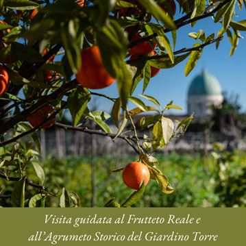 Visita guidata al Frutteto Reale e all’Agrumeto Storico del Giardino Torre