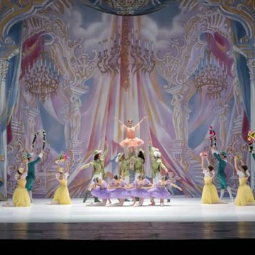 La bella addormentata nel bosco