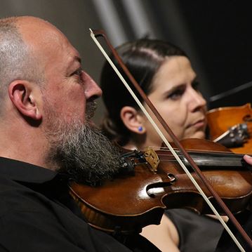 Divino Amadé